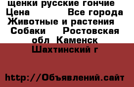 щенки русские гончие › Цена ­ 4 000 - Все города Животные и растения » Собаки   . Ростовская обл.,Каменск-Шахтинский г.